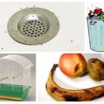 Fontes do aparecimento de mosquitos