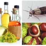 Castanhas e Óleos Essenciais