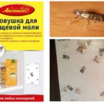 Armadilhas Aeroxon