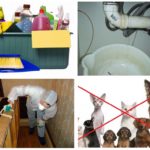 Preparação da casa para desinsetização