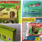 Remédios Weevils