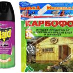 Fundos do mosquito cogumelo