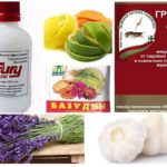Remédios Blackfly em orquídeas