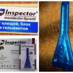 Inspetor de gotas