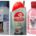 Shampoo pulga-1