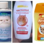Shampoos de pulgas