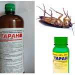 Taran de baratas