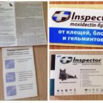 Gotas Inspector-1