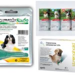Pulgas cai em cães
