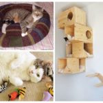 Processamento de lixo de pulgas e gatos