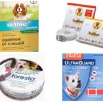 Coleiras de pulgas em cães