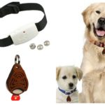 Scarers da pulga para cães