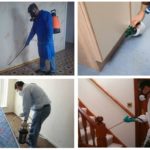 Processamento profissional