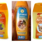 Shampoo De Prado