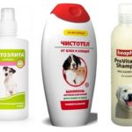 Shampoos de pulgas