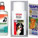 Shampoos de pulgas