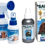 Sprays de pulgas em cães