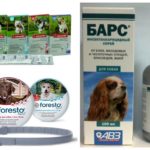 Suprimentos para cães
