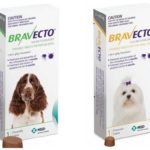 Comprimidos Bravecto