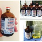 Zonder De Drogas