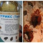Meios Tetriks-1