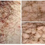 Lésbicas púbicas-1