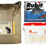 Preparações venenosas para ratos