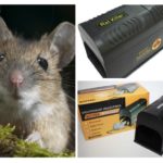 Ratoeira elétrica