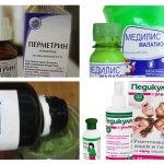 Pediculose Medicamentos