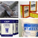 Métodos folclóricos de ratos