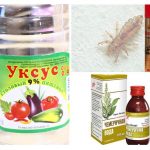 Métodos populares de pediculose