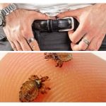 Homens com glândula tireóide
