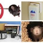 Instale o repeller de ratos