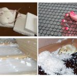 Proteger espuma de ratos