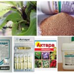 Formas de lançamento da droga Aktara