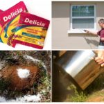 Aplicações Delicia Powder
