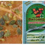 Phytoverm de pulgões
