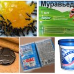 Produtos químicos de insetos