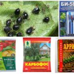 Produtos químicos para combater pulgões