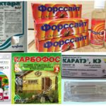 Preparativos para combater pulgões