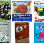 Produtos químicos para combater pulgões