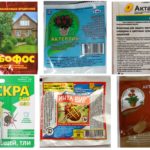 Produtos inseticidas