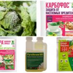 Produtos químicos tóxicos de pragas de insetos