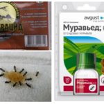 Aplicativo da loja
