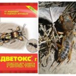 Medvetoks de Medvedki
