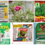 Produtos químicos tóxicos para proteção de plantas