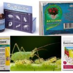 Produtos químicos para pulgões