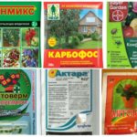 Produtos químicos tóxicos eficazes de pulgões