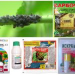 Preparações biológicas e químicas