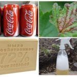 Aplicação de Coca-Cola Aphid